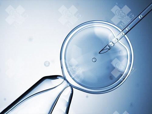 冻囊胚的解冻过程会对胚胎造成损伤吗？