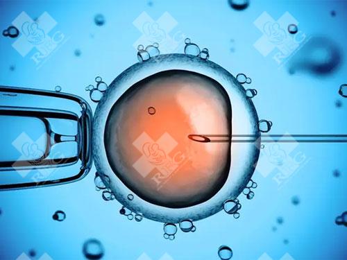 做试管胚胎不能着床跟自身的免疫力有关系吗？如何提高试管胚胎着床成功率？