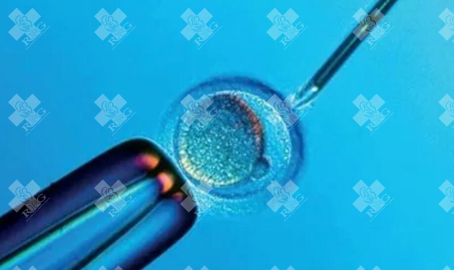 试管婴儿移植前检查子宫血流的原因是什么