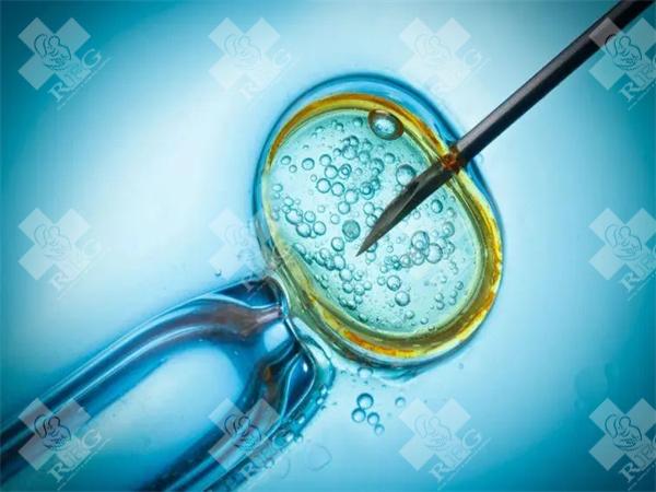 女性输卵管堵塞做试管婴儿是否会影响胚胎发育？