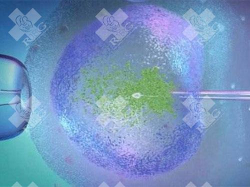 囊胚培养是什么？有什么作用？