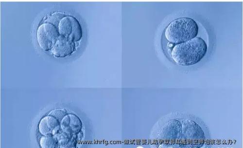 做试管婴儿助孕取卵却遇到空卵泡该怎么办？