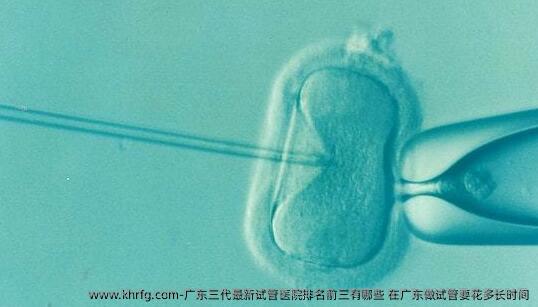 广东三代最新试管医院排名前三有哪些 在广东做试管要花多长时间