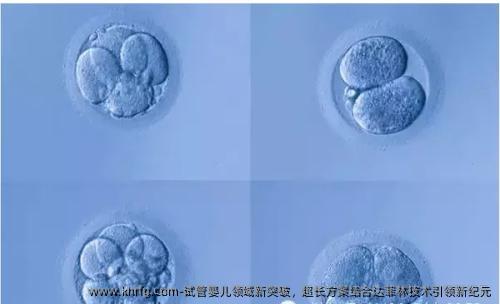 试管婴儿领域新突破，超长方案结合达菲林技术**新纪元