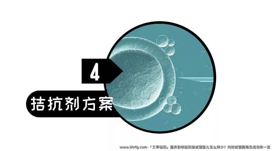 「三甲医院」重庆新桥医院做试管婴儿怎么样少？内附试管费用及成功率一览