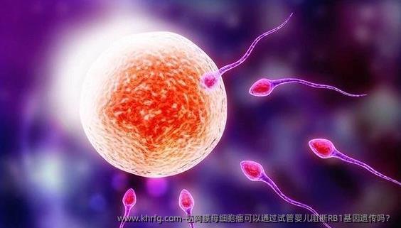 视网膜母细胞瘤可以通过试管婴儿阻断RB1基因遗传吗？