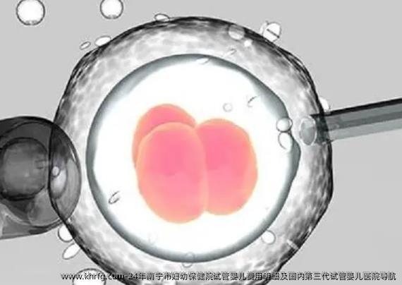 24年南宁市妇幼保健院试管婴儿费用明细及国内第三代试管婴儿医院导航