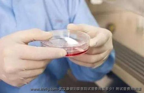 武汉康健妇婴医院试管费用是多少？附试管费用明细