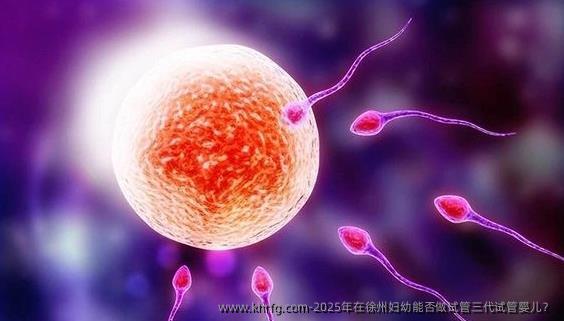 2025年在徐州妇幼能否做试管三代试管婴儿？