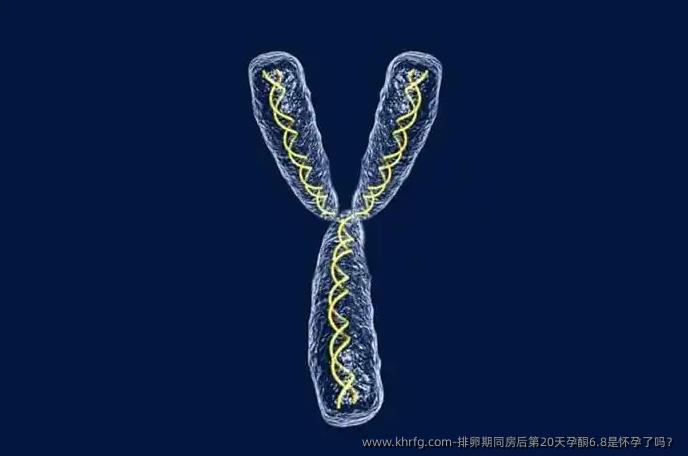 排卵期同房后第20天孕酮6.8是怀孕了吗？