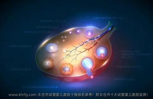 太仓市试管婴儿医院十强排名参考！附太仓市十大试管婴儿医院实例！