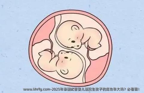 2025年泰国试管婴儿医院生孩子的成功率大吗？必看篇！