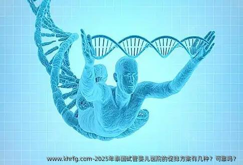 2025年泰国试管婴儿医院的促排方案有几种？可靠吗？