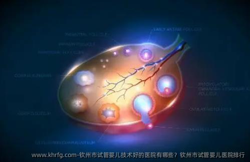 钦州市试管婴儿技术好的医院有哪些？钦州市试管婴儿医院排行