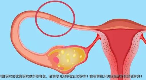 蚌埠医学院第一附属医院市试管医院成功率排名，试管婴儿那里做比较好呢？输卵管积水切掉输卵管影响试管吗？