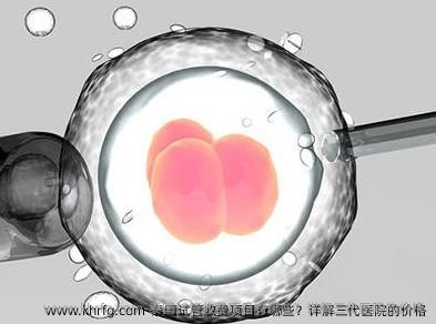 泰国试管收费项目有哪些？详解三代医院的价格