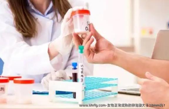 女性正常成熟的卵泡要大于18mm吗?